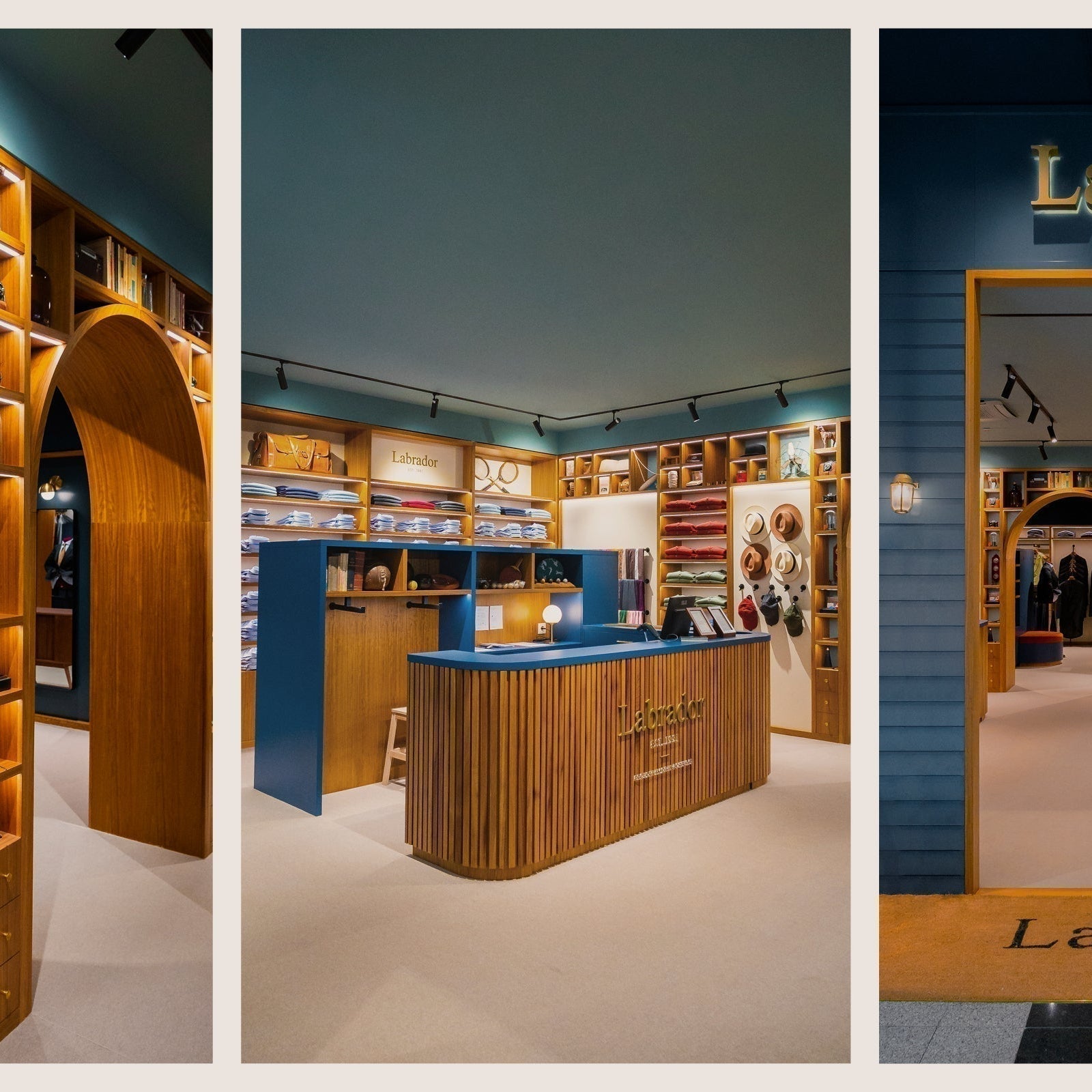 A LABRADOR NO NORTESHOPPING